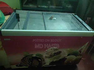 Ice Crem Fridge for Shop
