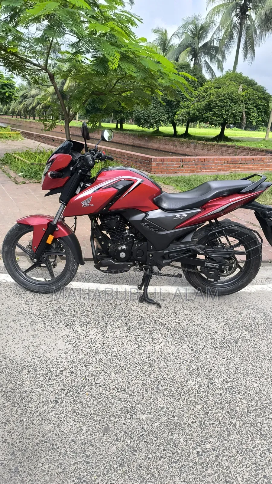 Honda 2024 Red