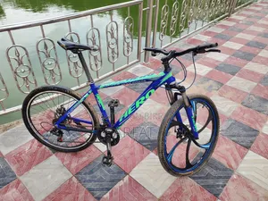 Aluminum Body Gear Bicycle