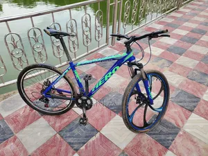 Aluminum Body Gear Bicycle