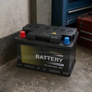Generator Battery