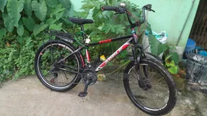 Apple 24-Inch Gear Cycle Modified