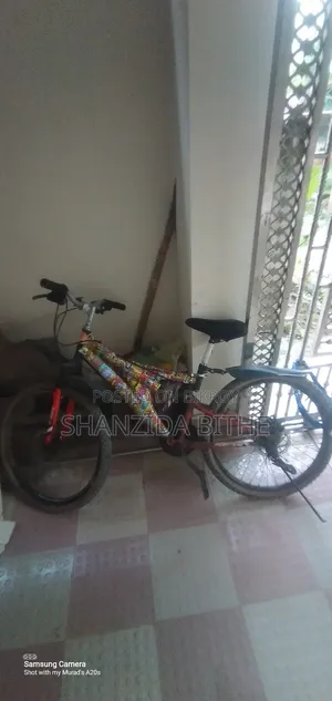 Dual Suspension Cycle