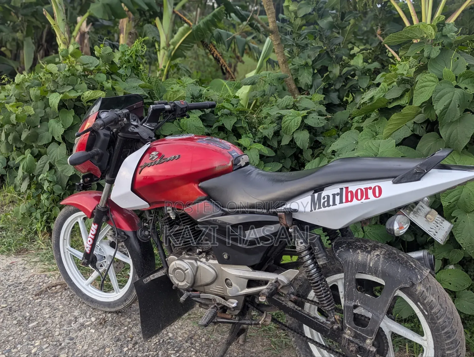 বাজাজ পালসার ১৫০ ২০১৩ রেড