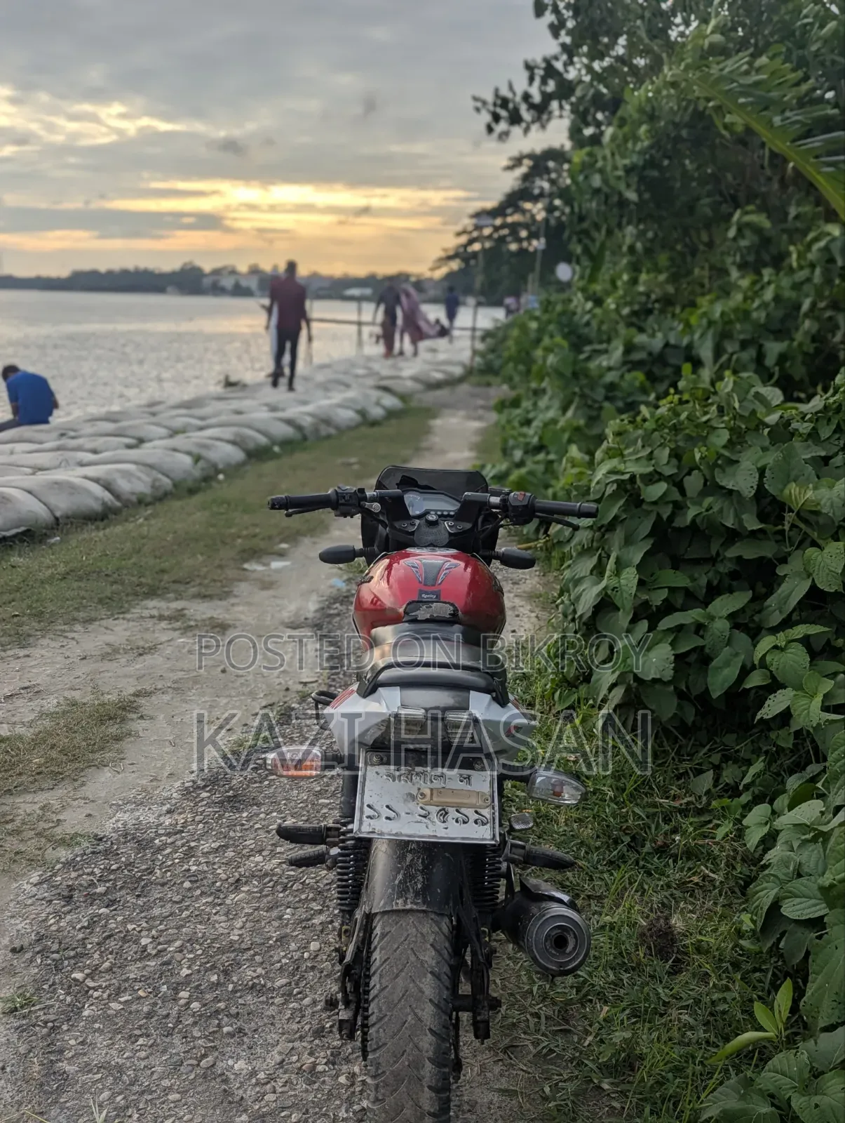 বাজাজ পালসার ১৫০ ২০১৩ রেড