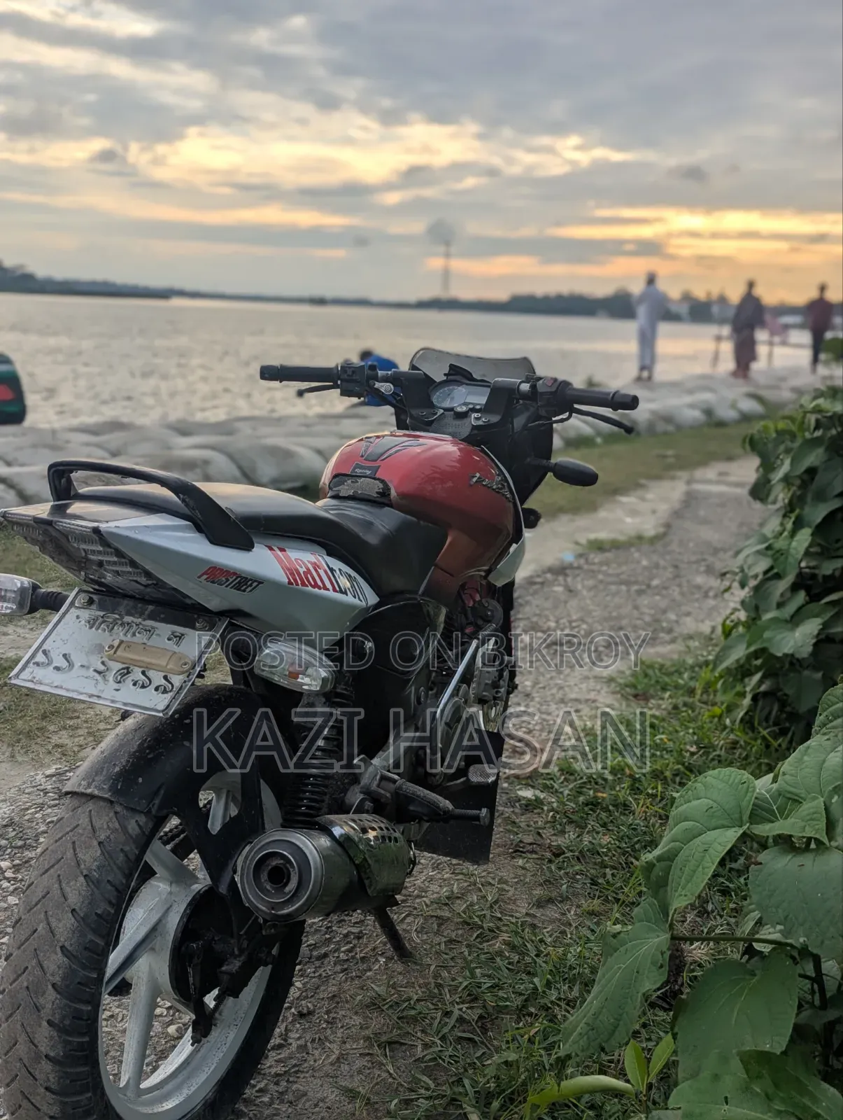 বাজাজ পালসার ১৫০ ২০১৩ রেড
