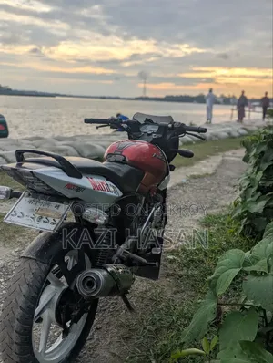 বাজাজ পালসার ১৫০ ২০১৩ রেড