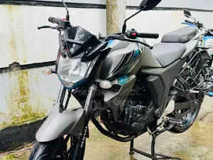 ইয়ামাহা এফজেড ২০২৫ গ্রে