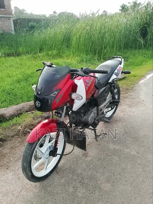 বাজাজ পালসার ১৫০ ২০১৩ লাল