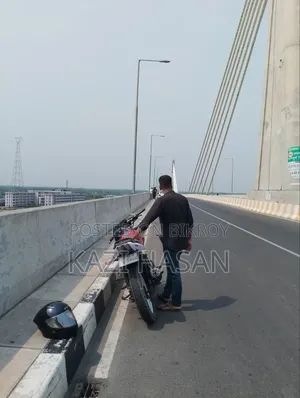 বাজাজ পালসার ১৫০ ২০১৩ লাল