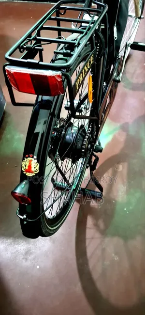 Electric Bicycle Sale