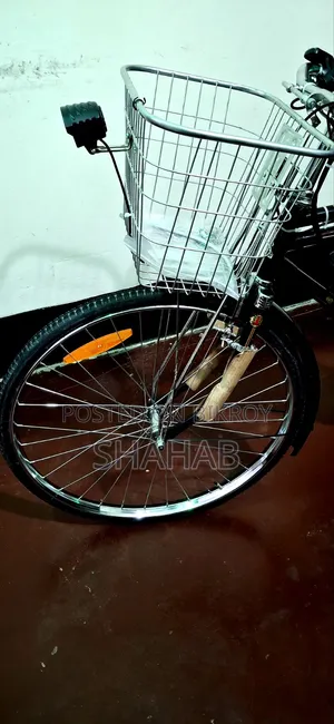 Electric Bicycle Sale