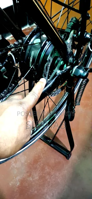 Electric Bicycle Sale