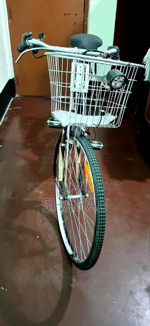 Electric Bicycle Sale