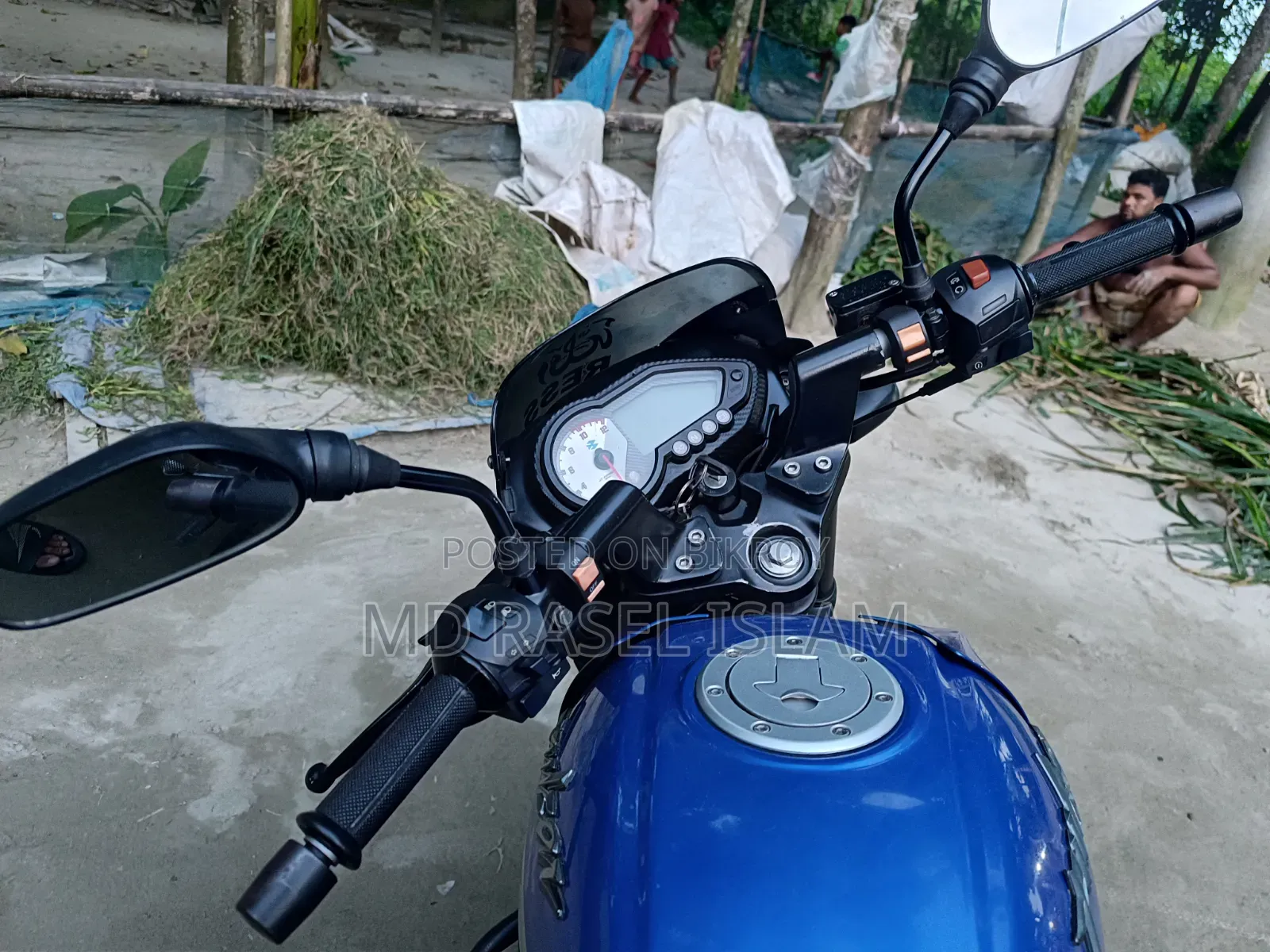 Bajaj Pulsar 150 2019 Blue