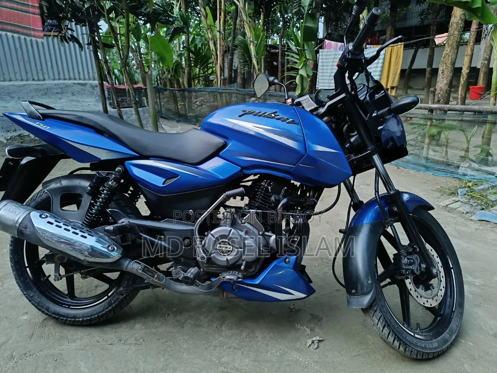 Bajaj Pulsar 150 2019 Blue