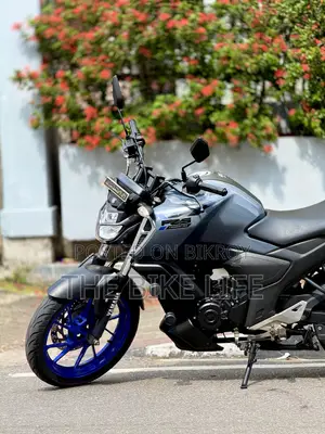 Yamaha FZS V3 2024 Gray