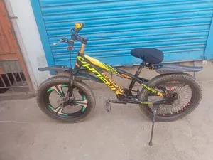 ফিনিক্স বেবি