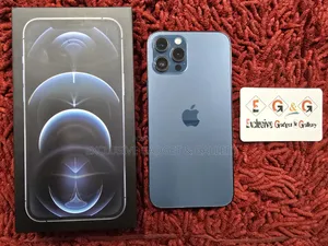 অ্যাপল আইফোন ১২ প্রো ম্যাক্স ২৫৬ জিবি নীল