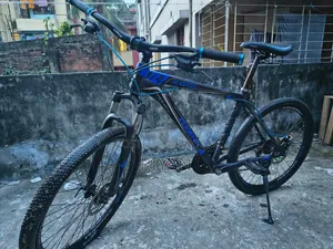 ফেনিক্স সাইকেল
