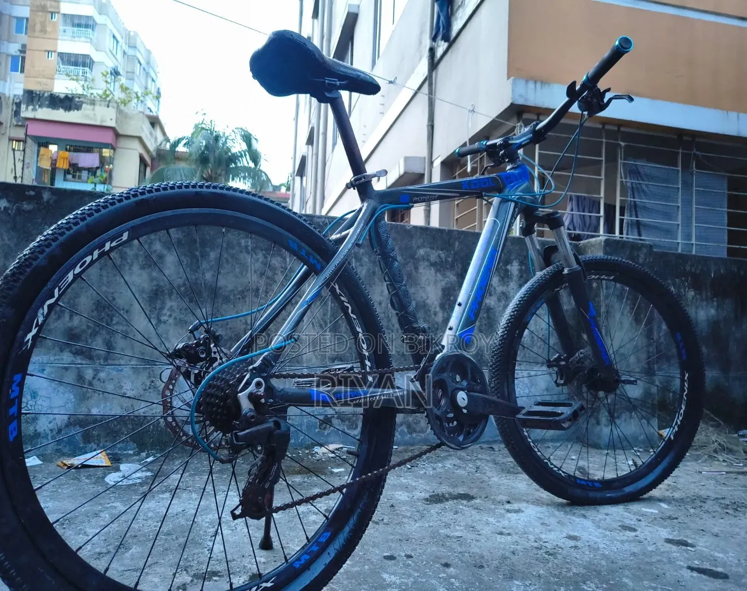 ফেনিক্স সাইকেল