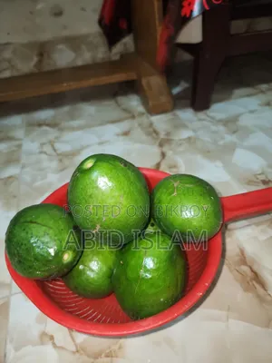Avocado Fruit