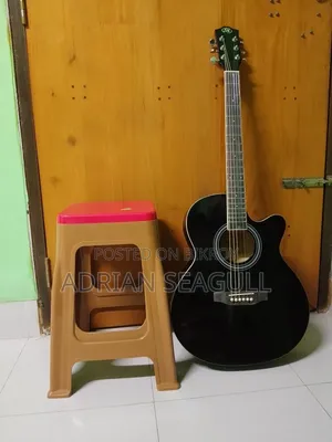 Guitar Sx Acoustic
