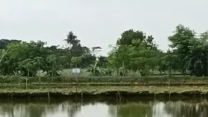 প্লট আকারে নিষ্কণ্টক নির্ভেজাল জমি বিক্রয় চলছে