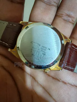 Citizen Eagle 7