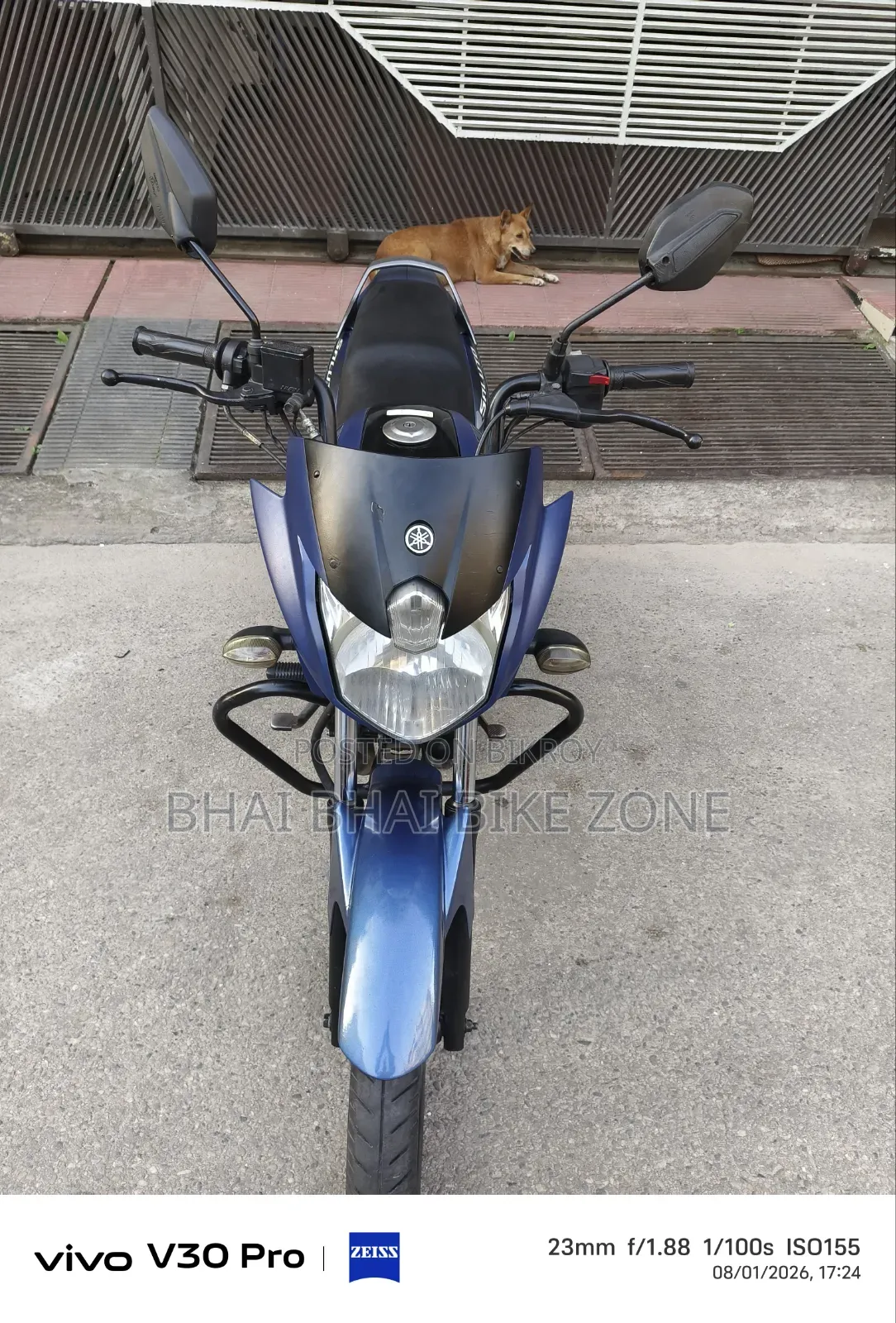 Yamaha Saluto 125 2022 Gray