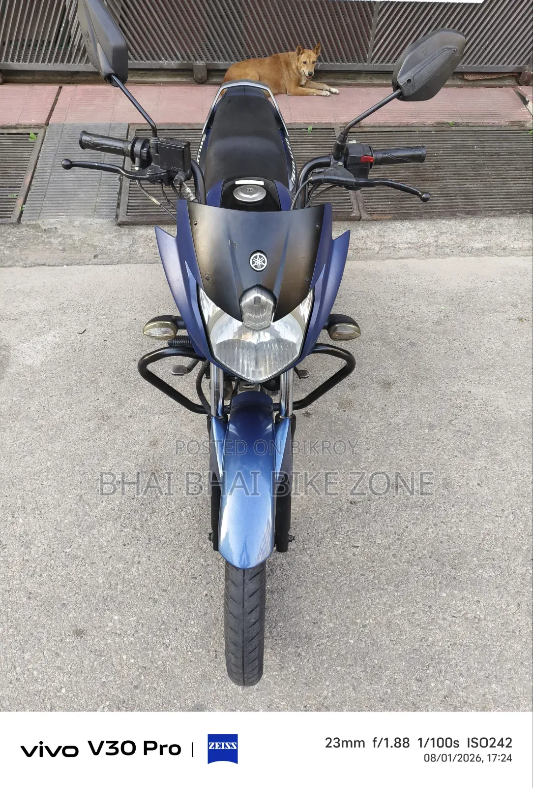 Yamaha Saluto 125 2022 Gray