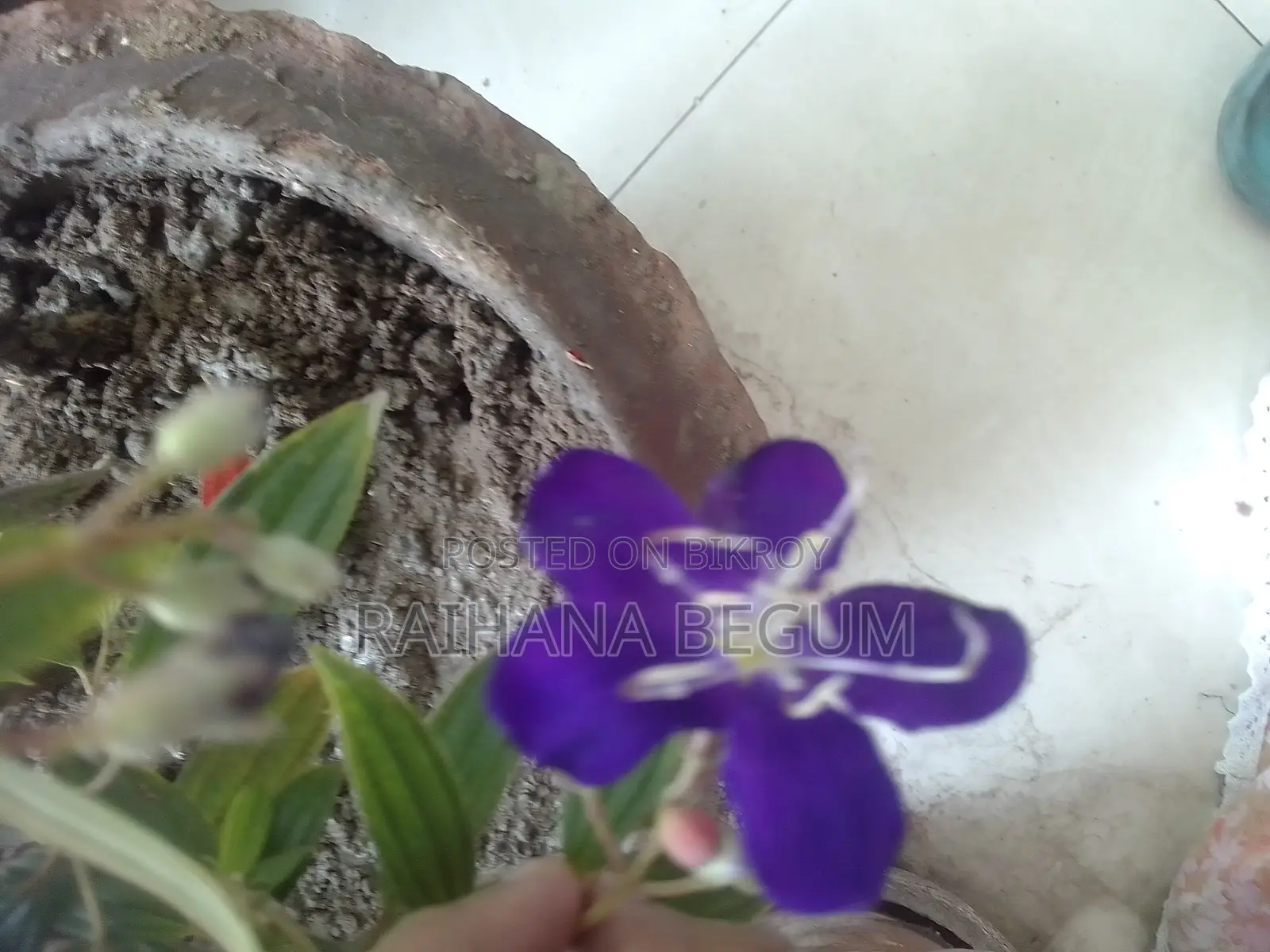 রিসার্চ পেপার রাইটিং অ্যান্ড পাবলিকেশনস