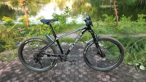 Rockrider Pro Zen 4