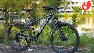 Rockrider Pro Zen 4