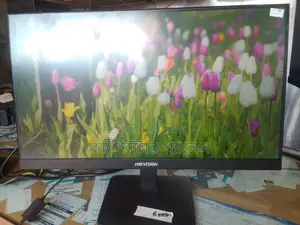 HIKVISION Monitor