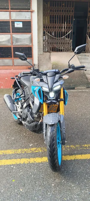 Yamaha MT-15 2024 Gray