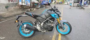 Yamaha MT-15 2024 Gray