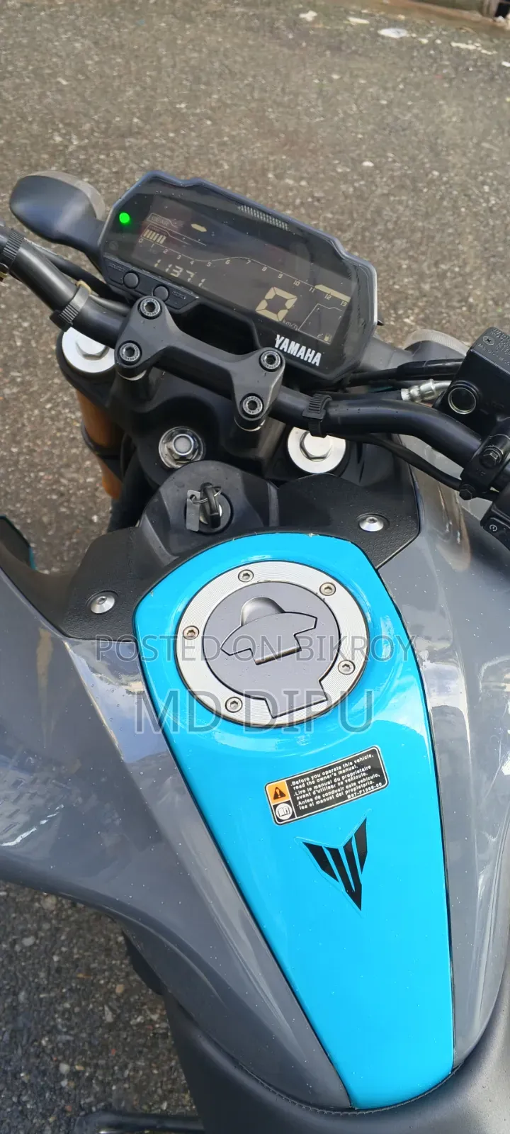 Yamaha MT-15 2024 Gray