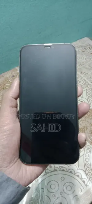 Apple iPhone 12 Pro Max 128 GB Gray