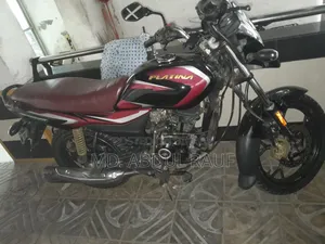 বাজাজ ডিসকভার ১১০ ২০২৩ রেড