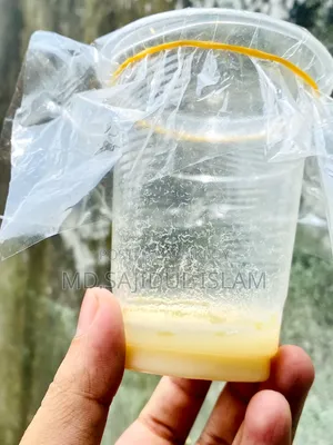মাইক্রওয়ার্ম ফর ফিশ