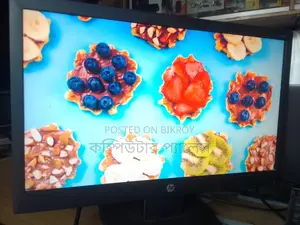 HP Monitor