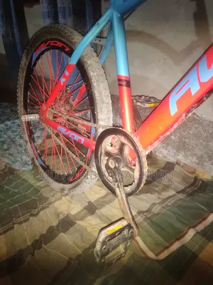 এভন সাইকেল