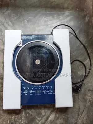 ইন্ডাকশন কুকার