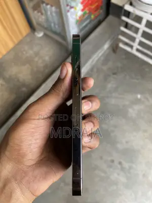 অ্যাপল আইফোন ১৩ প্রো ২৫৬ জিবি ব্ল্যাক