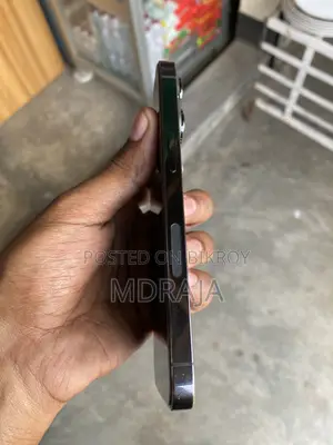 অ্যাপল আইফোন ১৩ প্রো ২৫৬ জিবি ব্ল্যাক
