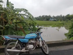 Suzuki 1991 Blue