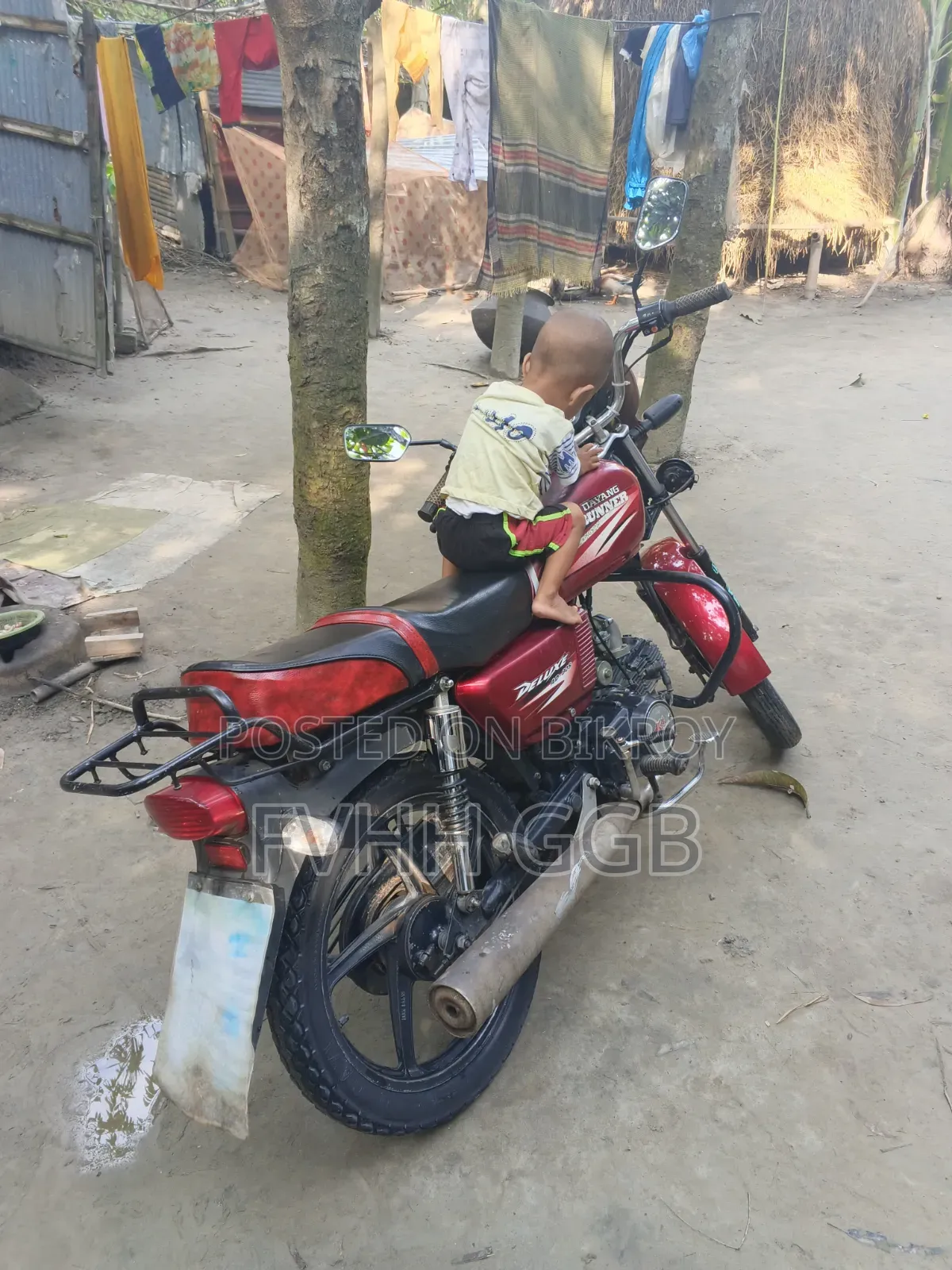 রানার AD80S-ডিলাক্স ২০১৮ লাল