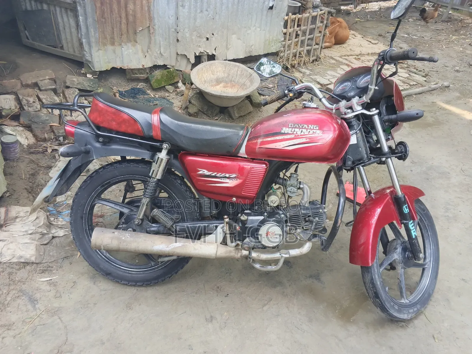রানার AD80S-ডিলাক্স ২০১৮ লাল