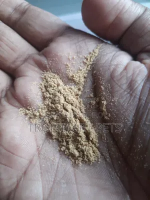 10 Grams | High Quality Powdered Food for Newborn Baby Fish